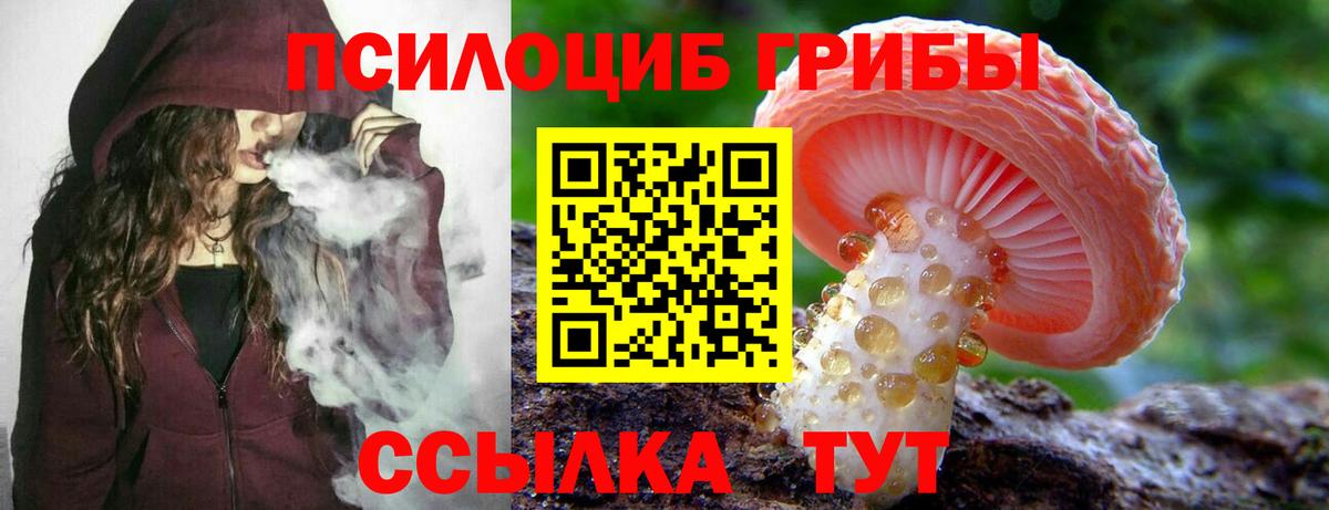 как найти наркотики  Вход с VPN  Апшеронск  Галлюциногенные грибы GOLDEN TEACHER 